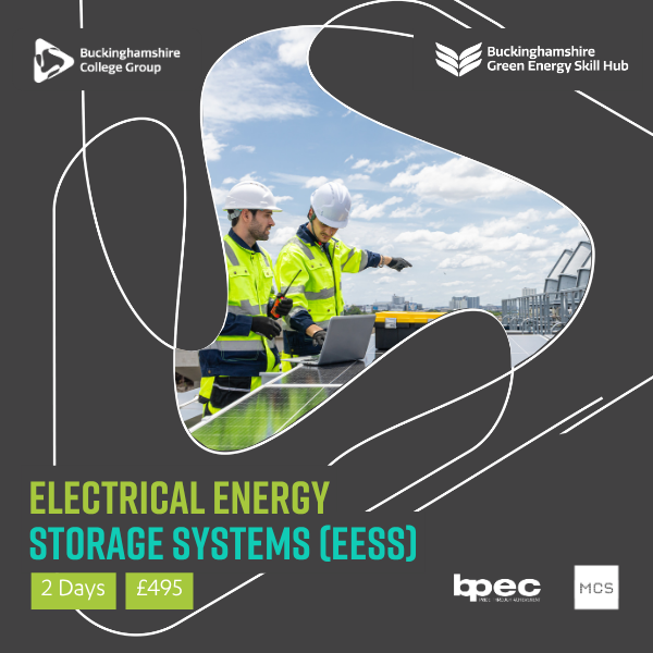 Electrical Energy Storage Systems (EESS)