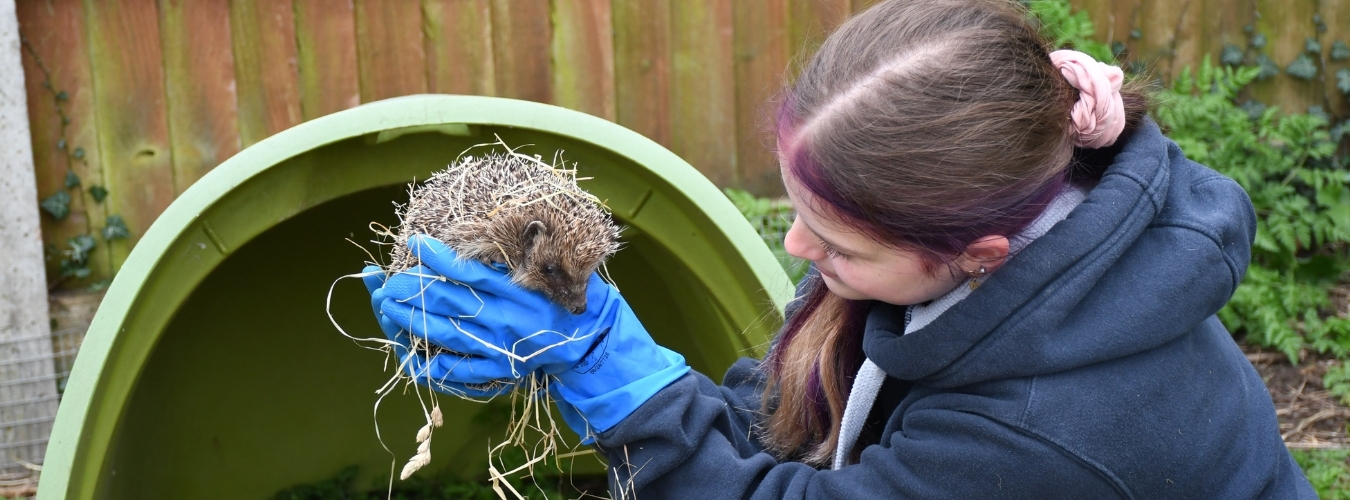 Student holding small animal