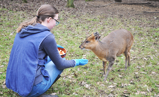 Animal Care