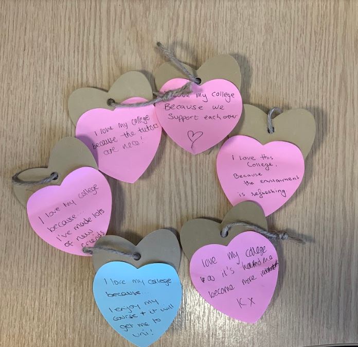 loveourcolleges